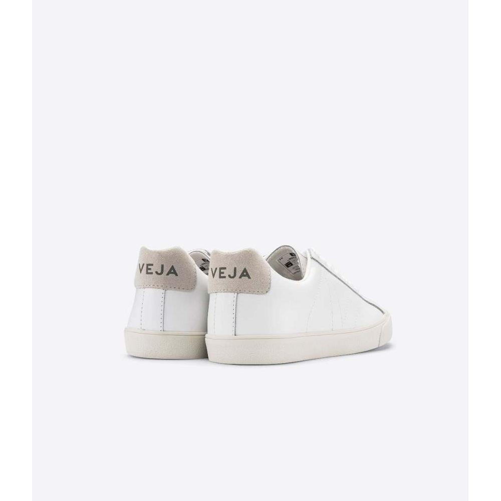 Αθλητικά Παπούτσια γυναικεια Veja ESPLAR LEATHER White/Beige | GR 621HAP